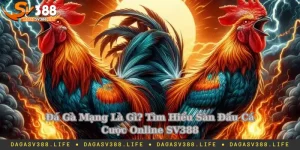 Đá gà mạng